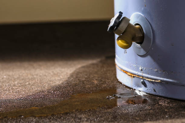 Best Flood damage cleanup  in East Pepperell, MA