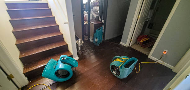 Best Commercial water damage restoration  in East Pepperell, MA