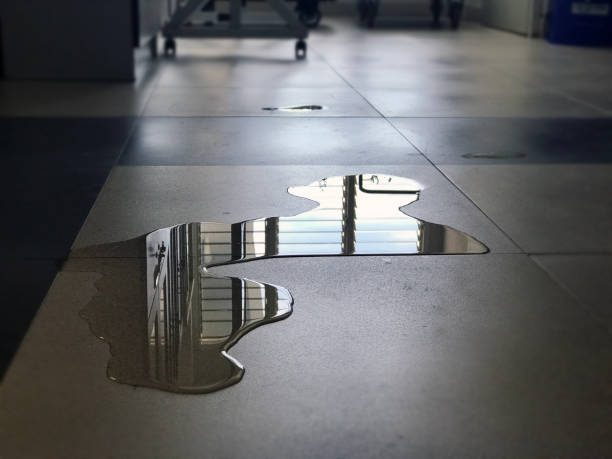 Best 24/7 water damage repair  in East Pepperell, MA