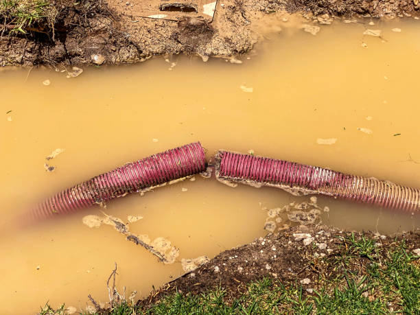 Best Mold removal after water damage  in East Pepperell, MA